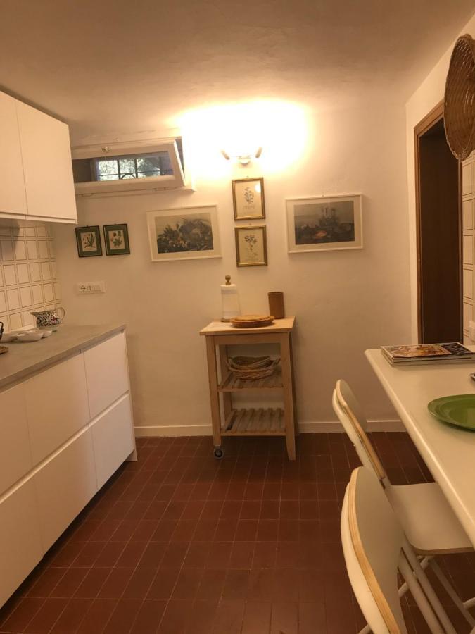 Campo Al Cerro Apartment Bolgheri Ngoại thất bức ảnh