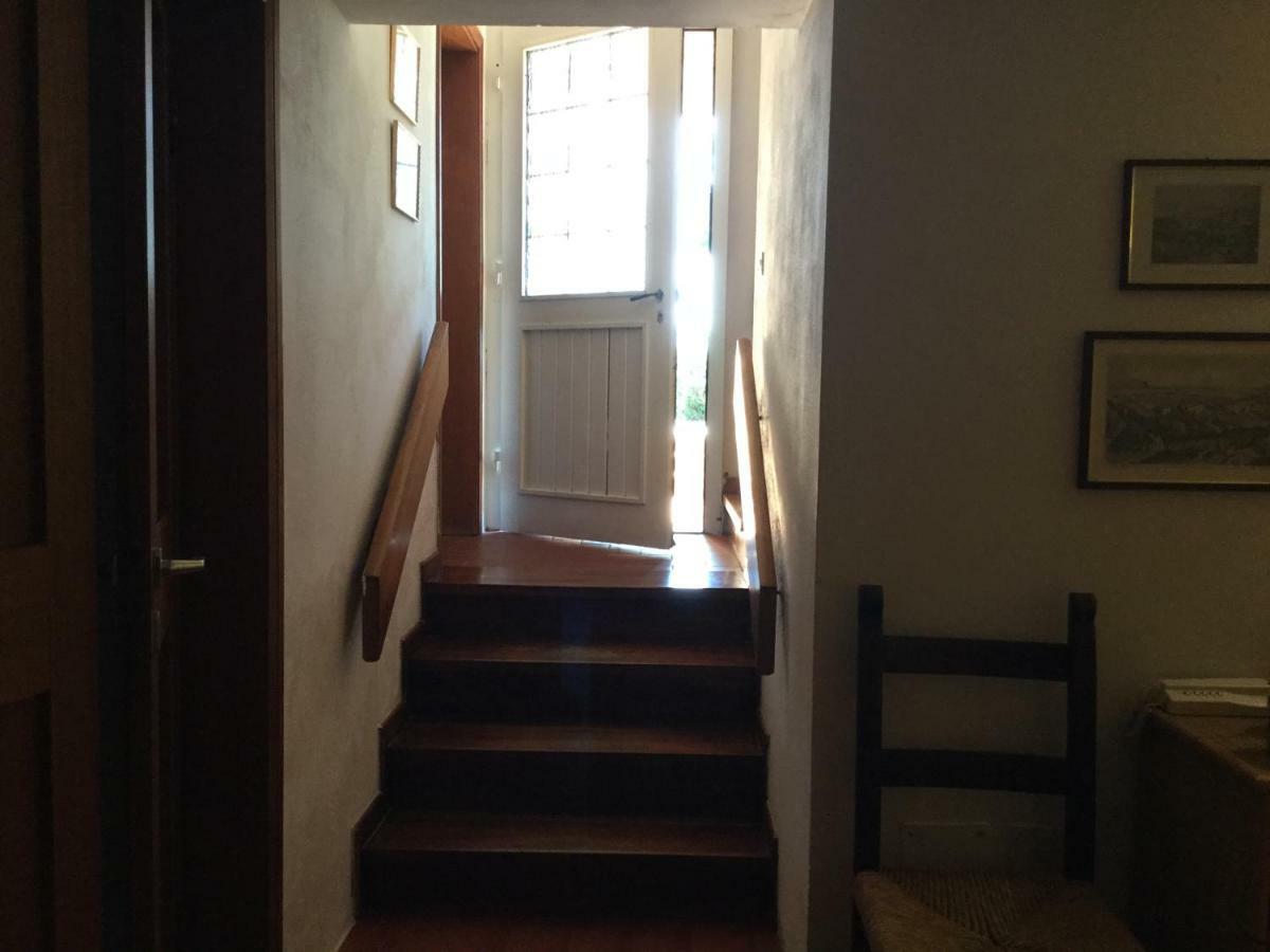 Campo Al Cerro Apartment Bolgheri Ngoại thất bức ảnh
