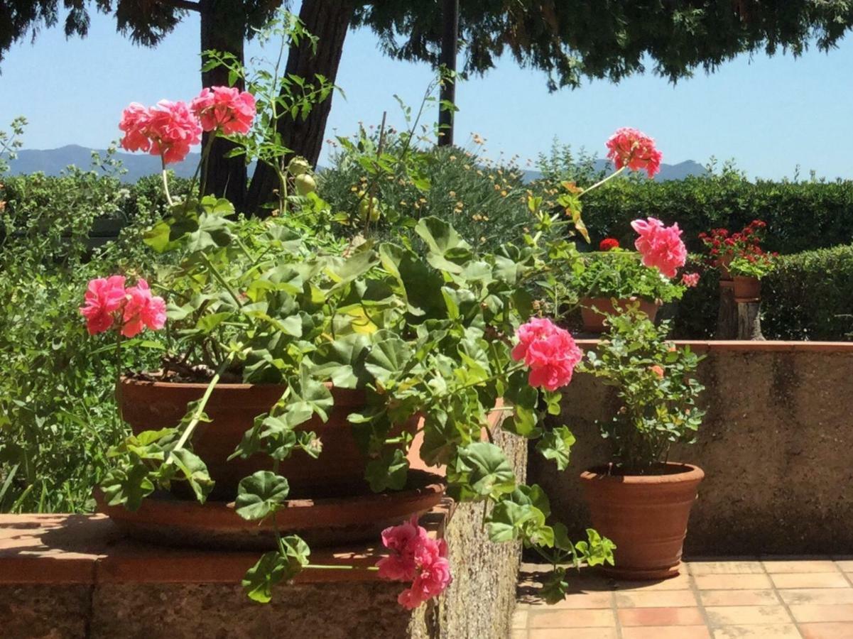 Campo Al Cerro Apartment Bolgheri Ngoại thất bức ảnh