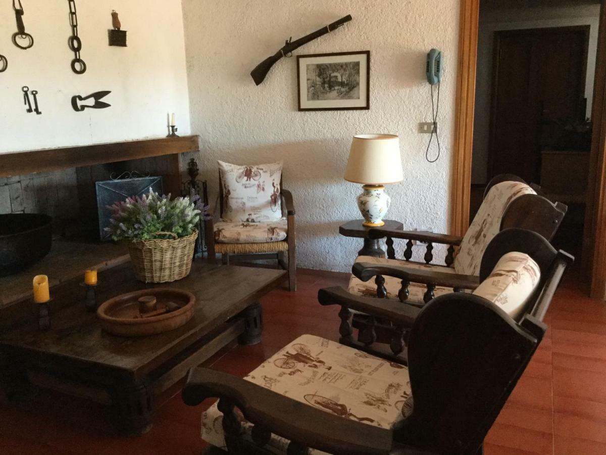 Campo Al Cerro Apartment Bolgheri Ngoại thất bức ảnh